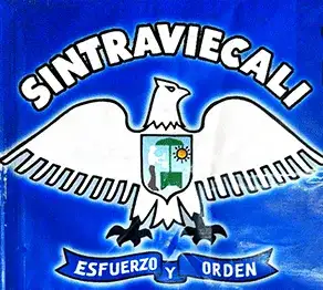 SINTRAVIECALI, Sindicato de Trabajadores de la Venta Informal Establecida de Cali SINTRAVIECALI, Sindicato de Trabajadores de la Venta Informal Establecida de Cali
